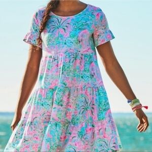 Lilly Pulitzer Jodee Swing Flounce Dress Spotted On Worth